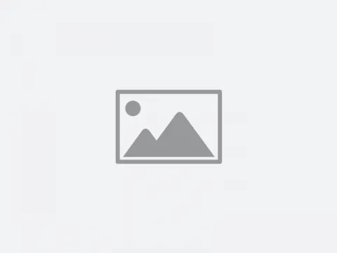 placeholder-image